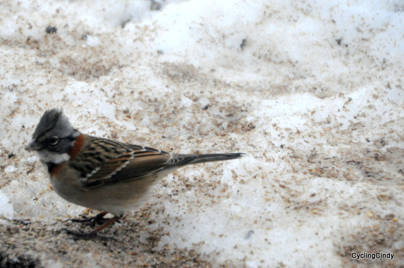 1-DSC_0660 (2)