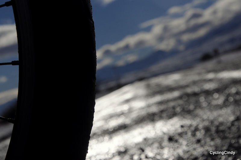 1-DSC_0686 (2)