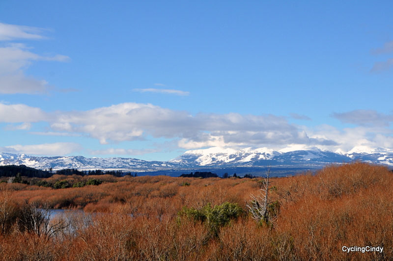 1-DSC_0770 (2)