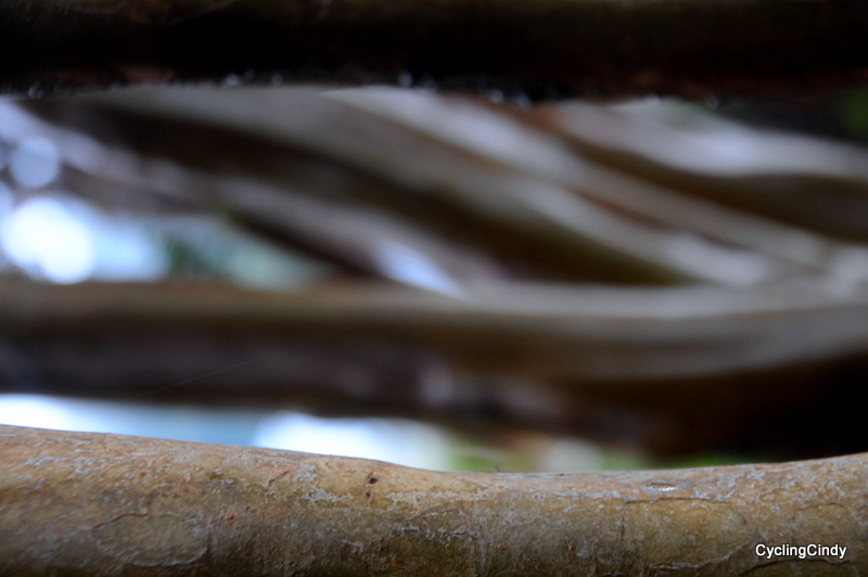 done 1-DSC_0937