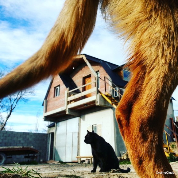 06-IMG_20170717_120747_084