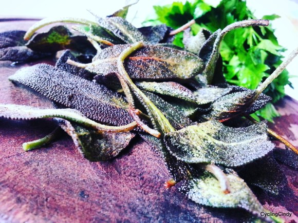 08-IMG_20170718_193109_185