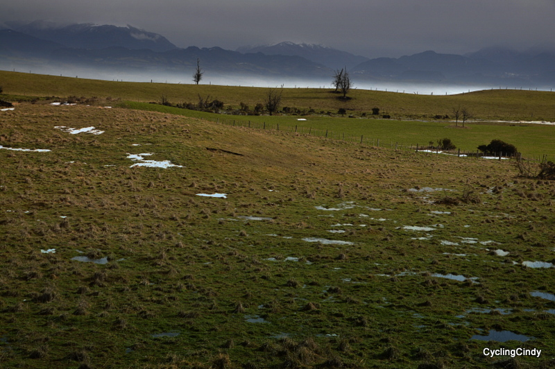 1-DSC_0531