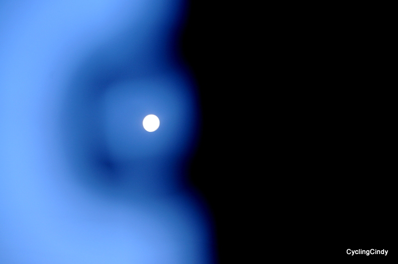 1-DSC_0586