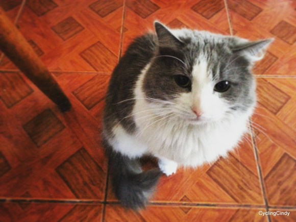 2-IMG_20170707_204831_806