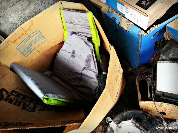 3-PicsArt_07-09-09.32.36