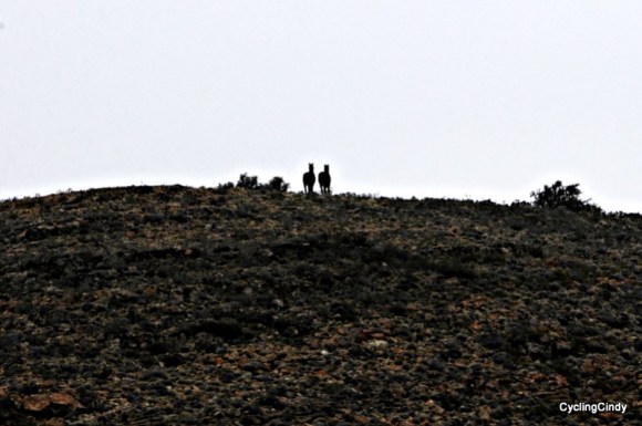 done 2018-05-04-19-38-55