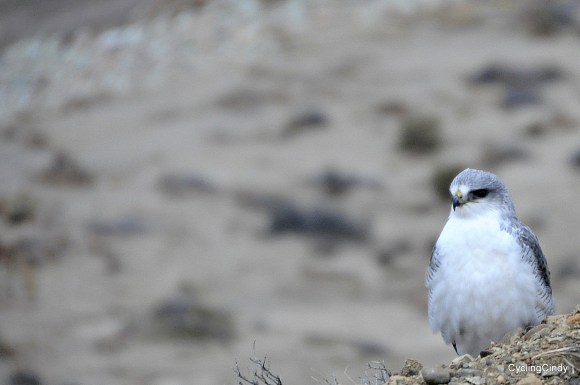 done 2018-06-04-18-00-56