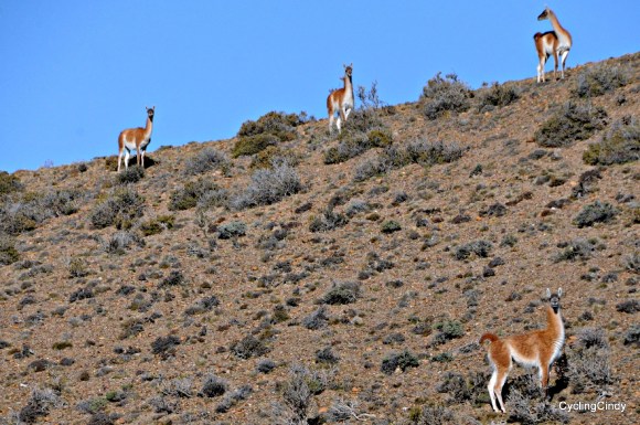 done 2018-08-04-16-11-55