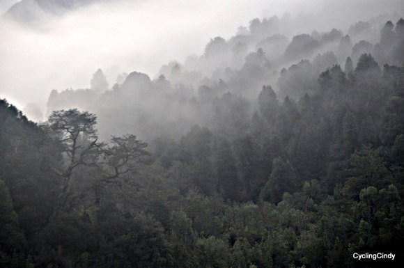 done 2018-11-03-19-31-57