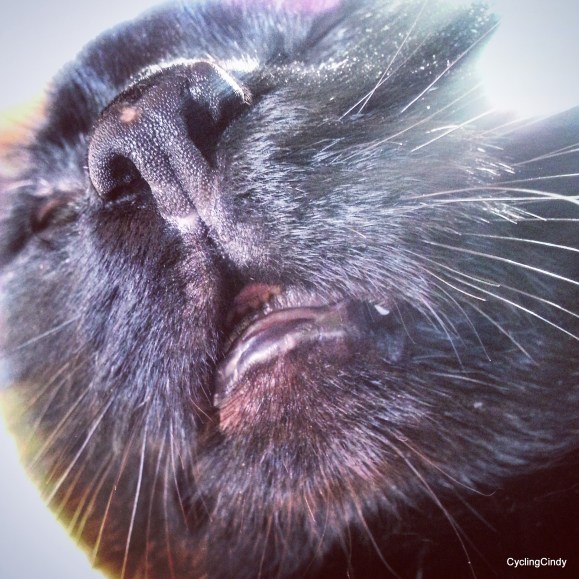 done 26-IMG_20170724_195141_532