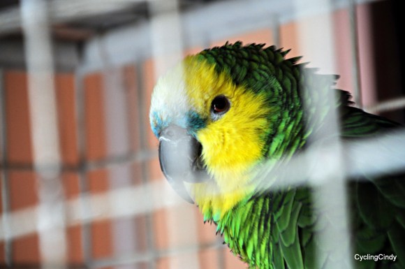 2017-29-09-17-55-16 (2)