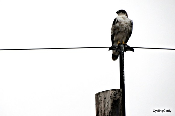 done 2018-02-06-16-17-57