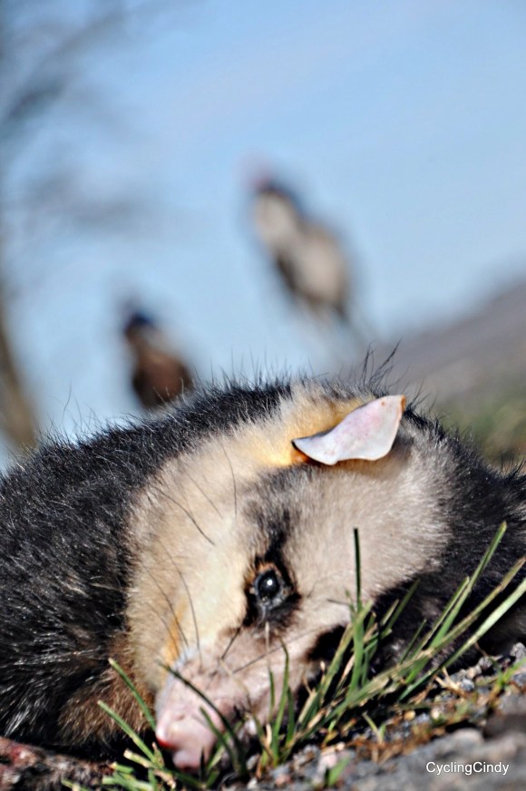 done 2018-07-06-18-51-33