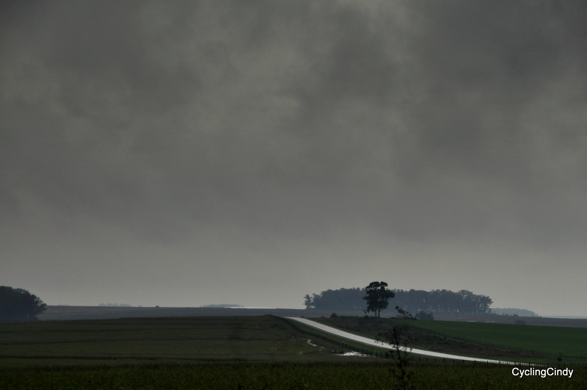 done DSC_0732