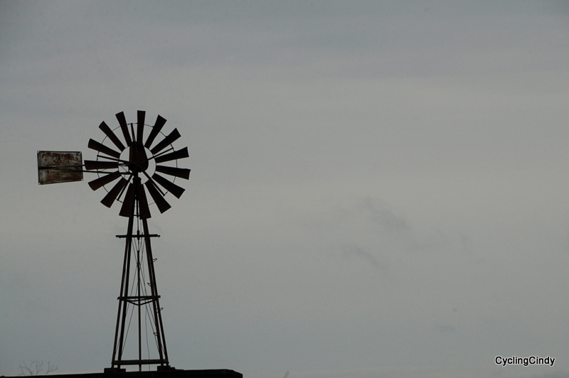 done DSC_0854