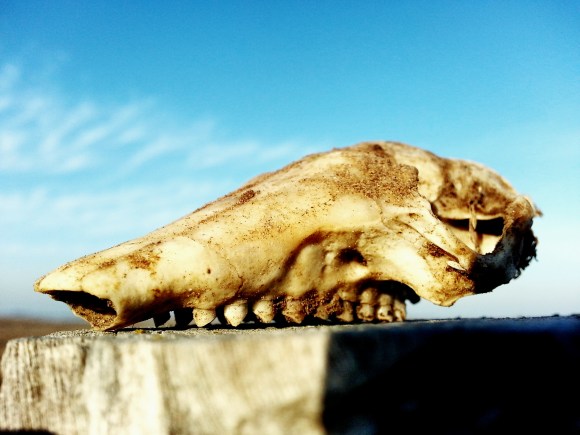 done IMG_20170821_184039_637