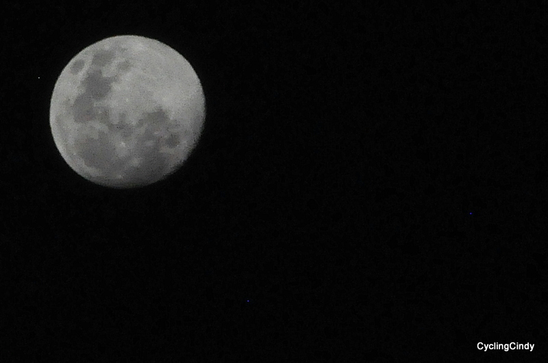 DSC_0107 (2)