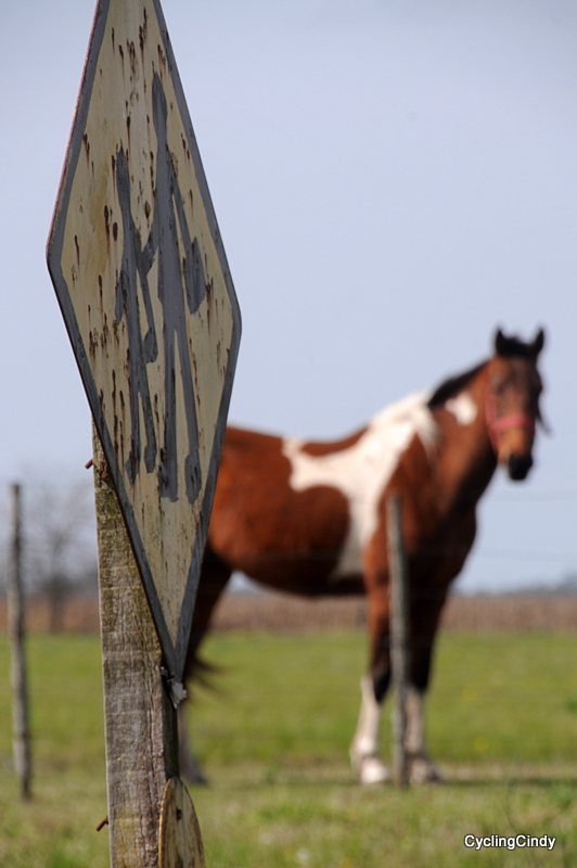 DSC_0197 (3)