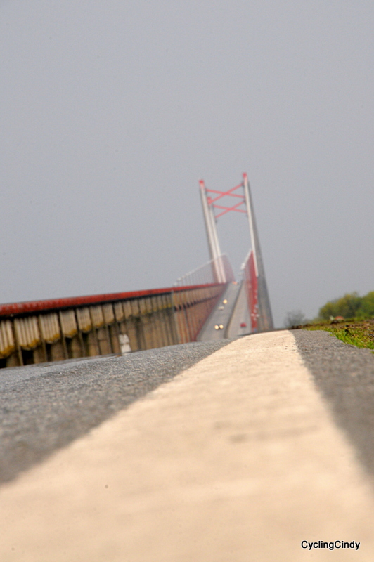DSC_0296 (3)-001