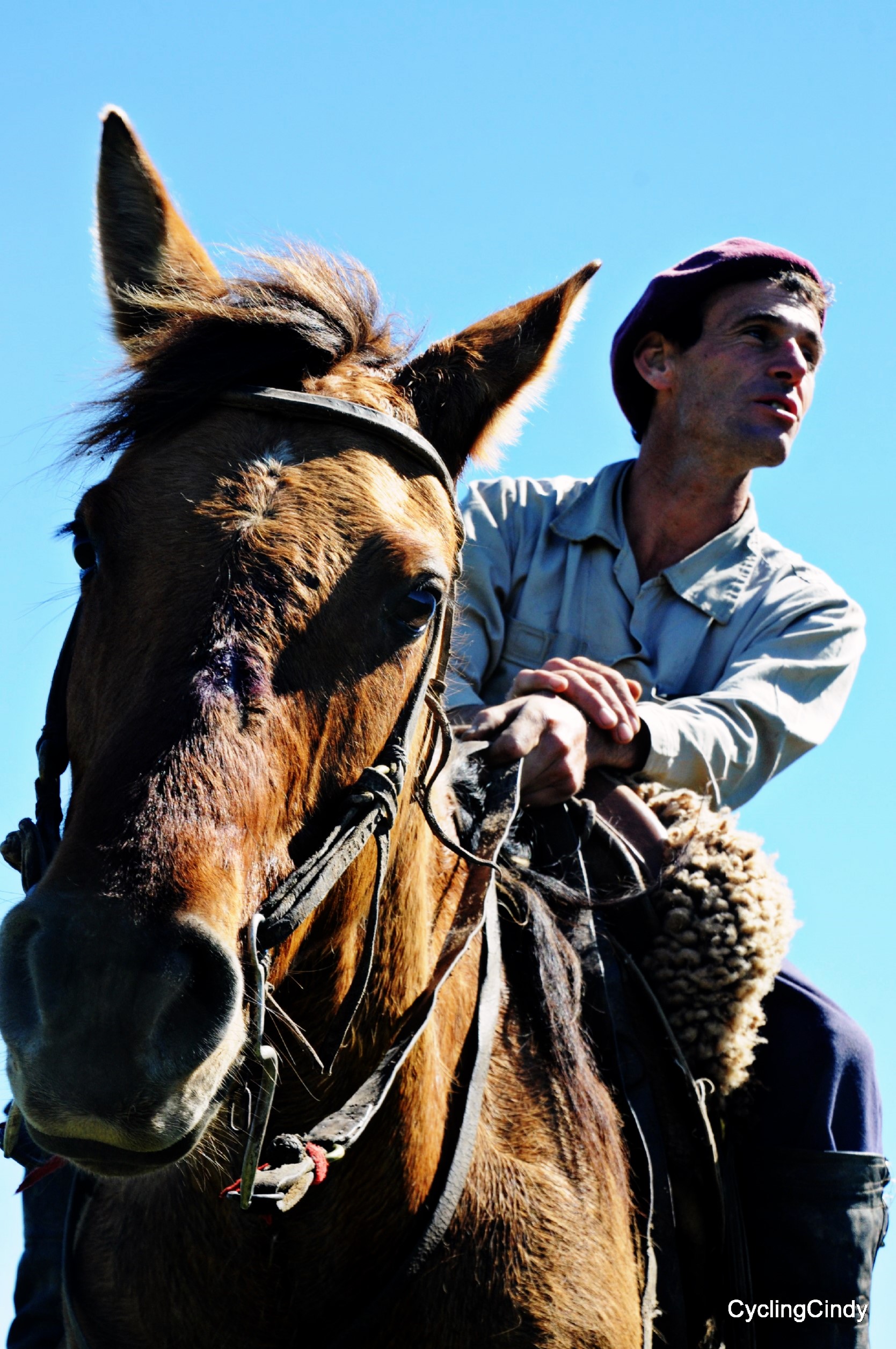 Gustavo's profession police man but now he's a gaucho. is 3 (2)