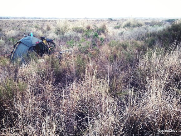 IMG_20170728_092343_840