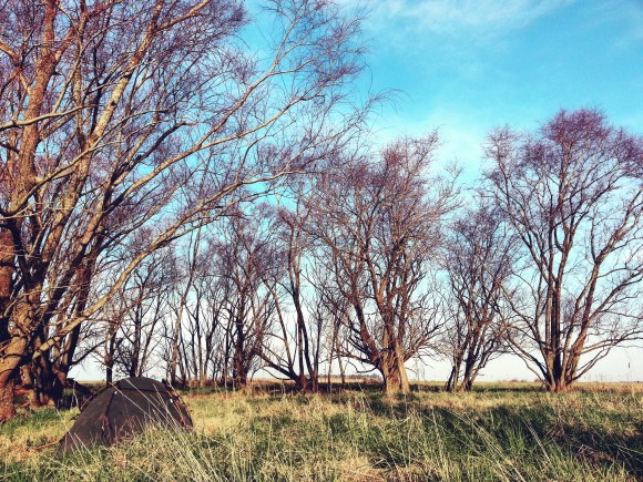 IMG_20170817_200603_413