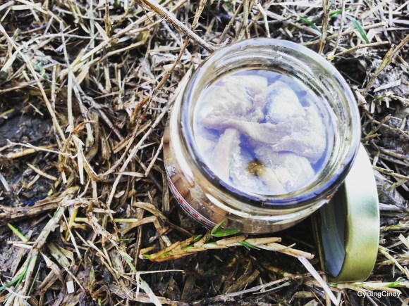 IMG_20170821_183809_965