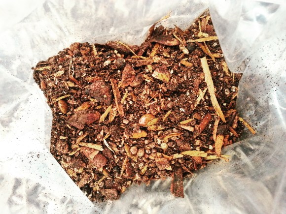 IMG_20170902_083539_490