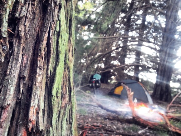 IMG_20170904_205638_218