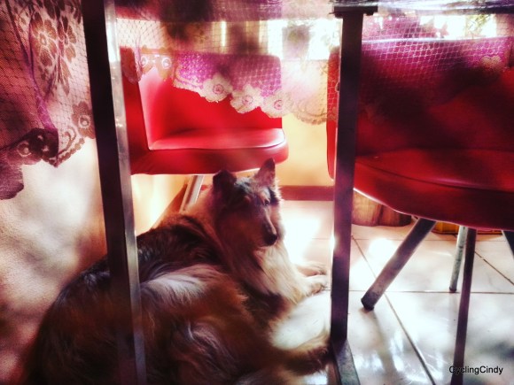 IMG_20171002_154508_857