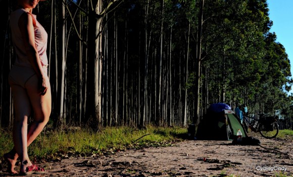 done 1-2017-15-10-21-04-52 (2)