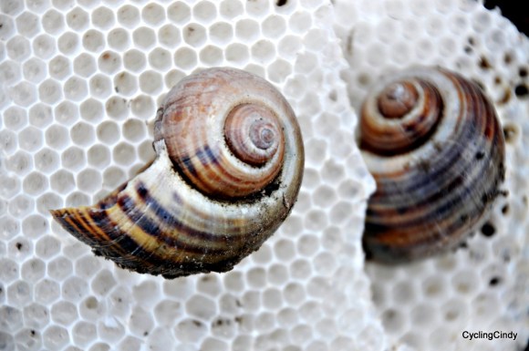 done 2018-21-06-10-53-58