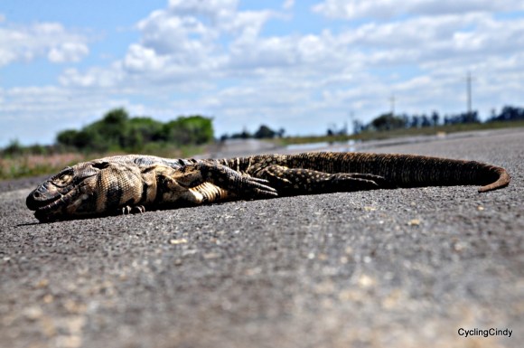 done 2018-21-06-18-37-37