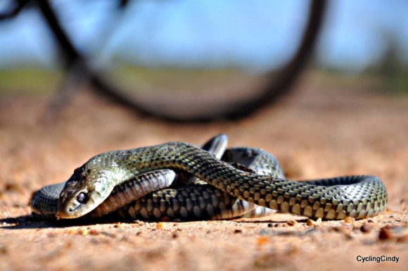 done 2018-21-06-20-08-53