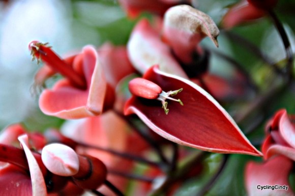 done 2018-29-06-15-14-02