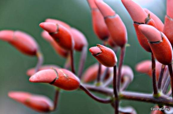 done 2018-29-06-15-18-47