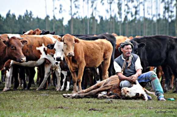 done 2018-30-06-23-03-46