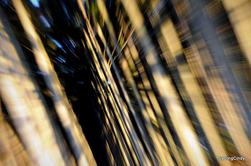 done DSC_0390