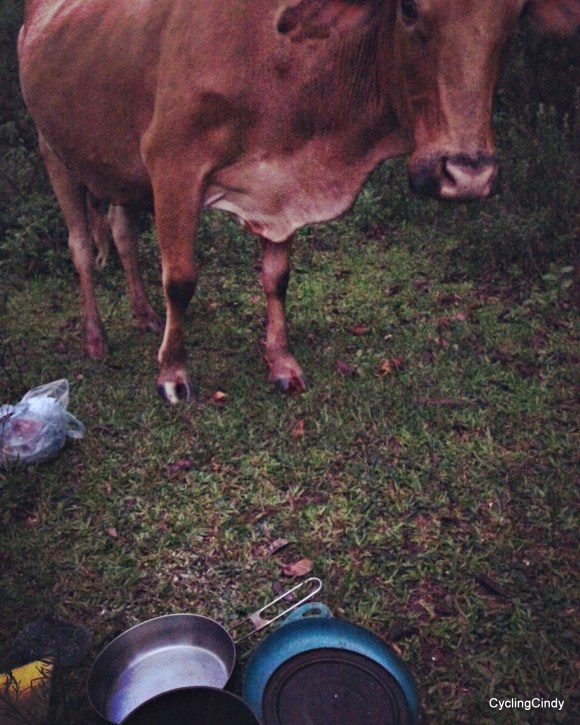 done02-PicsArt_10-29-07.25.25