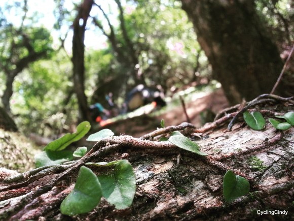 done14-IMG_20171102_191648_571