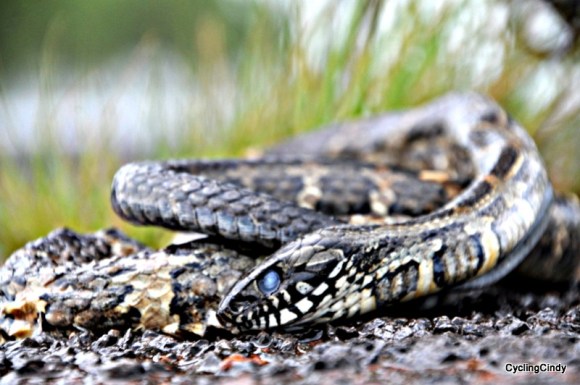 done2018-08-07-20-03-25