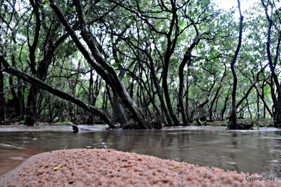 done2018-10-07-17-20-22