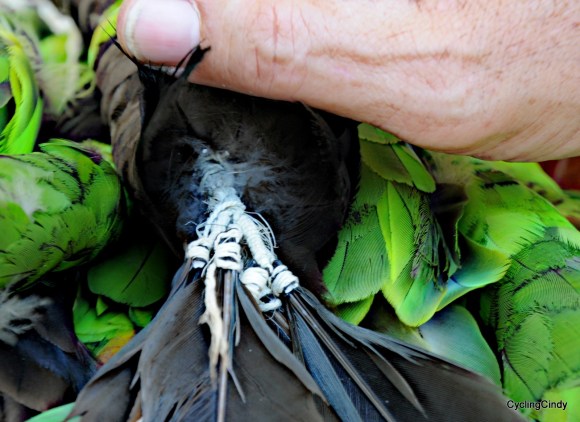 done2018-11-07-20-45-25