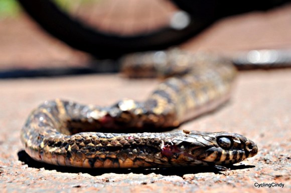 done2018-15-07-17-56-54