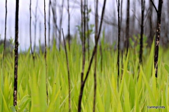 done2018-15-07-22-33-27