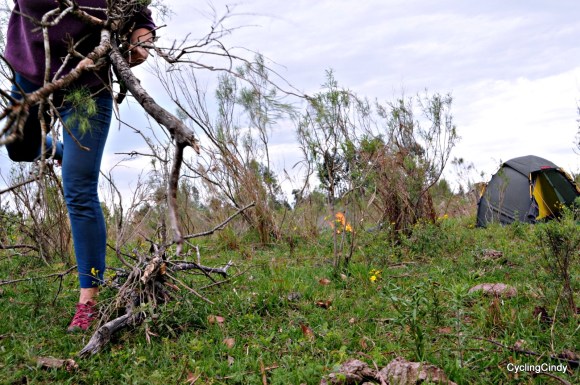 done2018-19-06-19-42-32