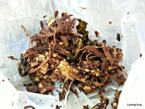 done23-PicsArt_11-06-05.58.33