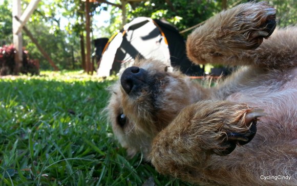 done25-PicsArt_11-06-06.05.01