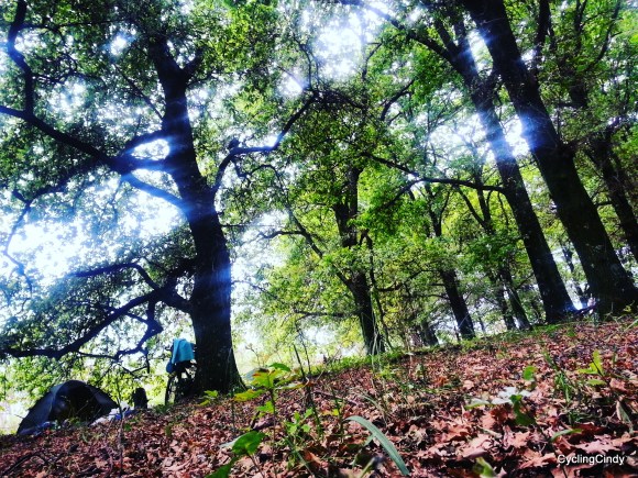 IMG_20171010_190620_444-001